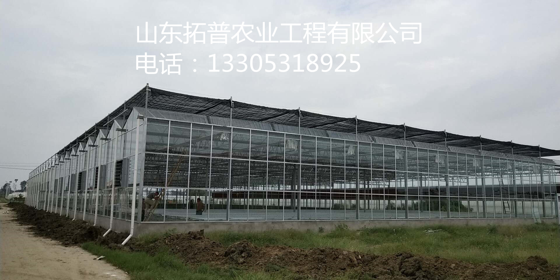 建设玻璃联栋温室的好处